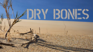 Dry Bones